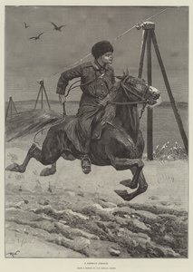 Sibirya Kazak